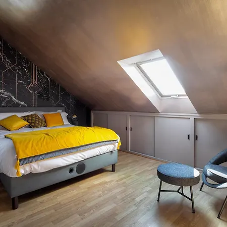 La Maison De Florence 3* 昂热